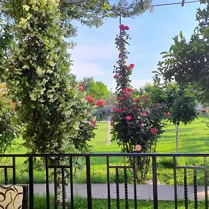 Landhaus With Private Garden, Shkodra
